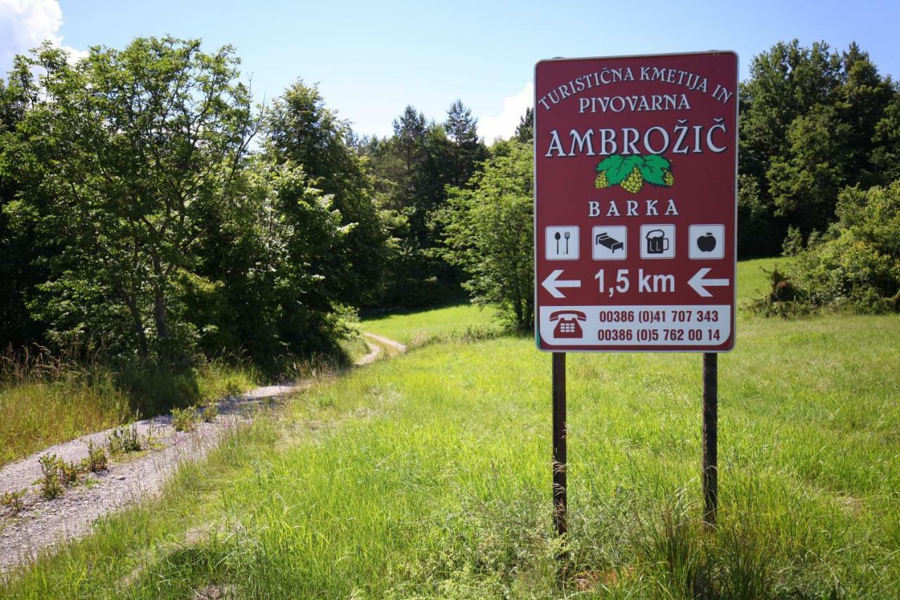 Rooms And Apartment Ambrozic Vremski Britof Экстерьер фото